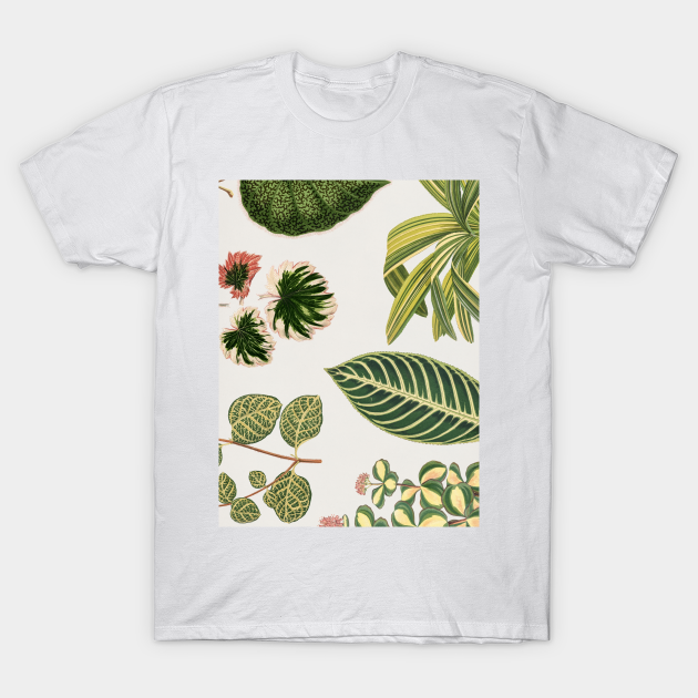 Green Botanical Print Botanical Pattern TShirt TeePublic